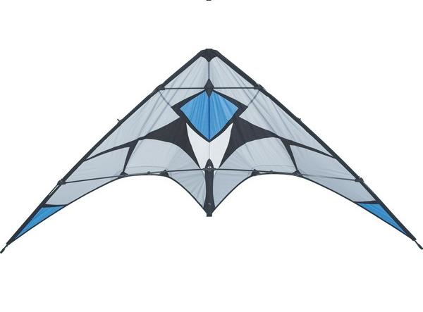 Scarab Beetle HQ-Kite