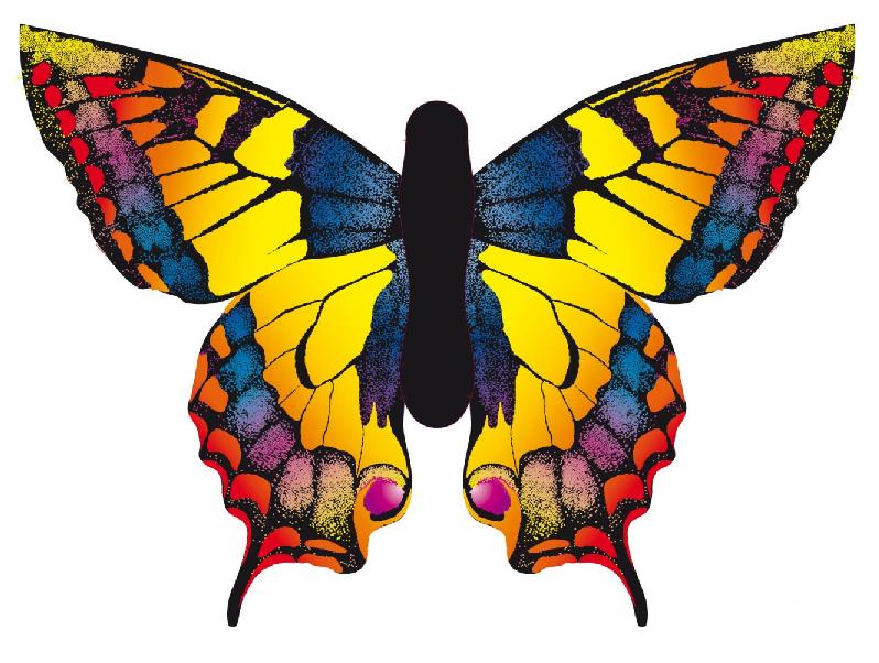 Monofil Papillon Kite Swallowtail "L" complet