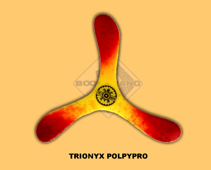 Boomerang Trionix gaucher en polypropylène Boomerang Trionix gaucher en polypropylène