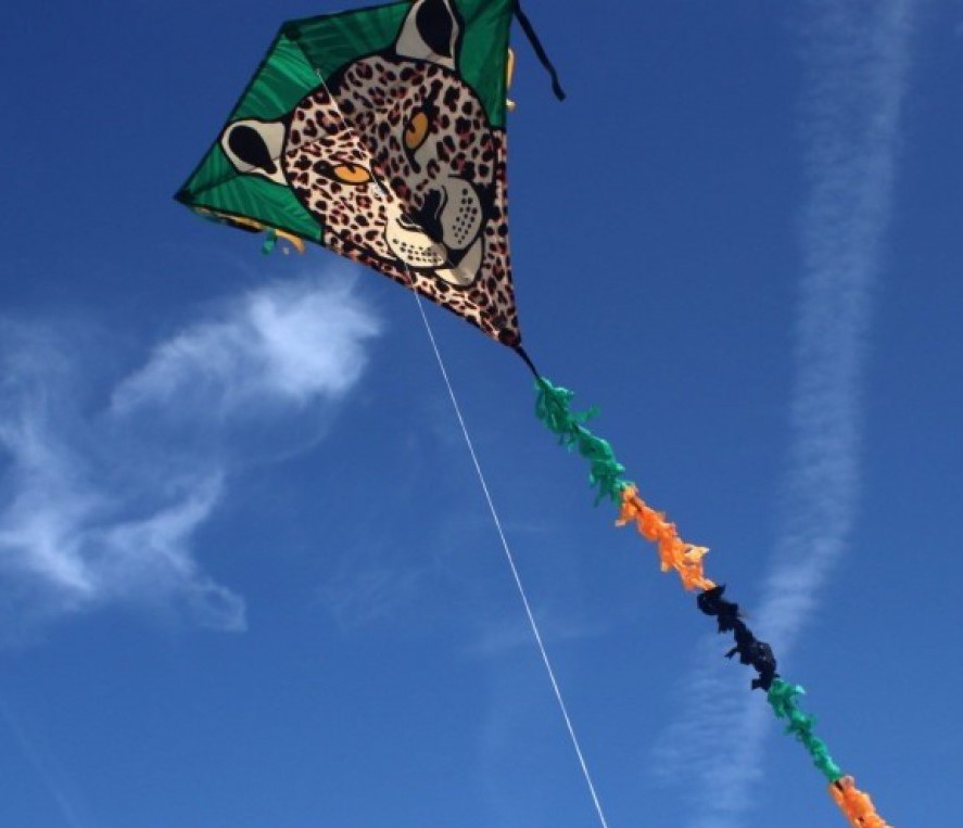 Classic diamond kite Eddy Leopard R2F