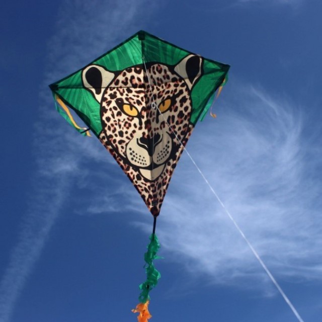 Classic diamond kite Eddy Leopard R2F - Click Image to Close