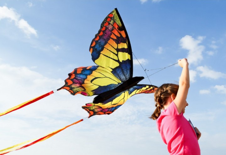 Butterfly Kite Swallowtail "L" R2F - Click Image to Close