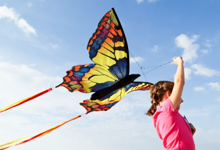 Monofil Papillon Kite Swallowtail "L" complet