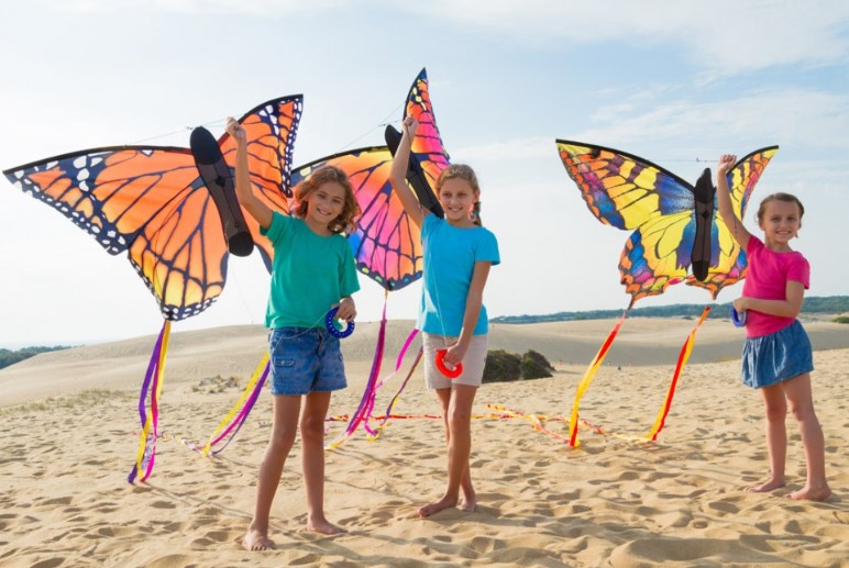 Butterfly Kite Ruby "L" R2F