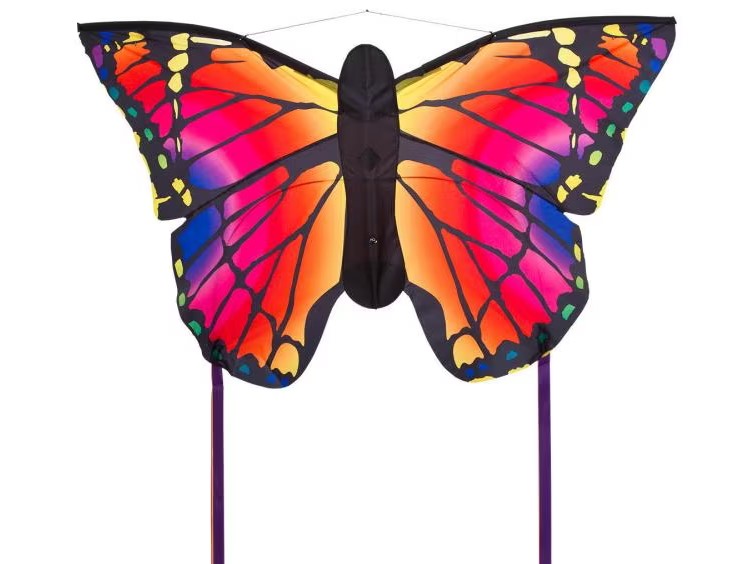 Monofil Papillon Kite Ruby "L" complet