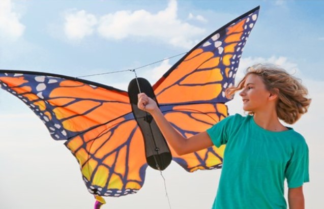 Butterfly Kite Monarch "L" R2F - Click Image to Close